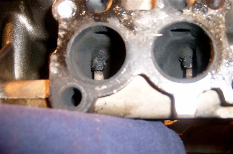 head 010