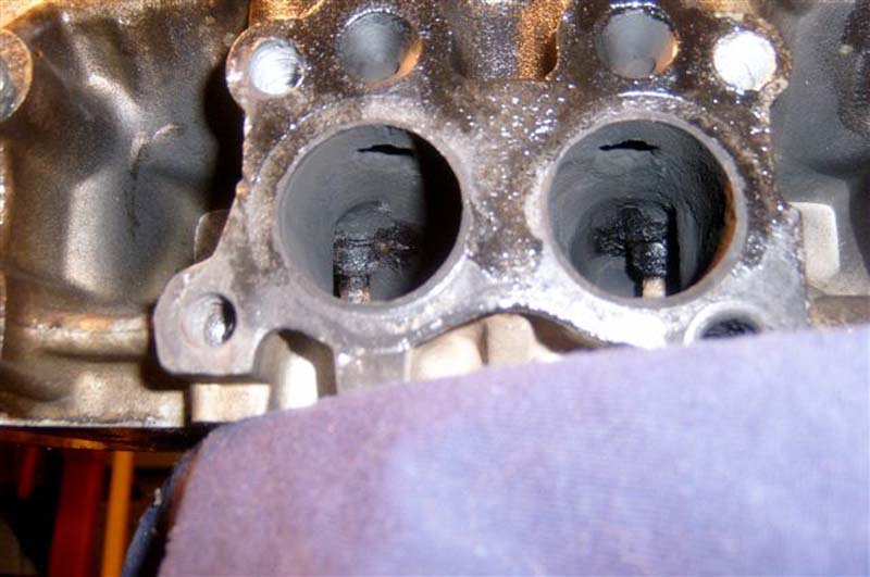 head 011