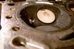 head 003