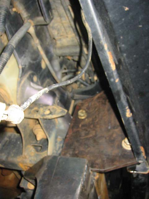 Picture 008